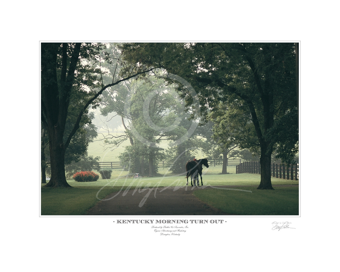 Kentucky Morning Turnout; fine art; horse print; photograph; Thoroughbred; stallion; Stop the Music; hot; humid; July; summer; morning; Greentree Stud; Gainesway Farm; Paris Pike; Lexington; KY;  scene; reflection; © Doug Prather