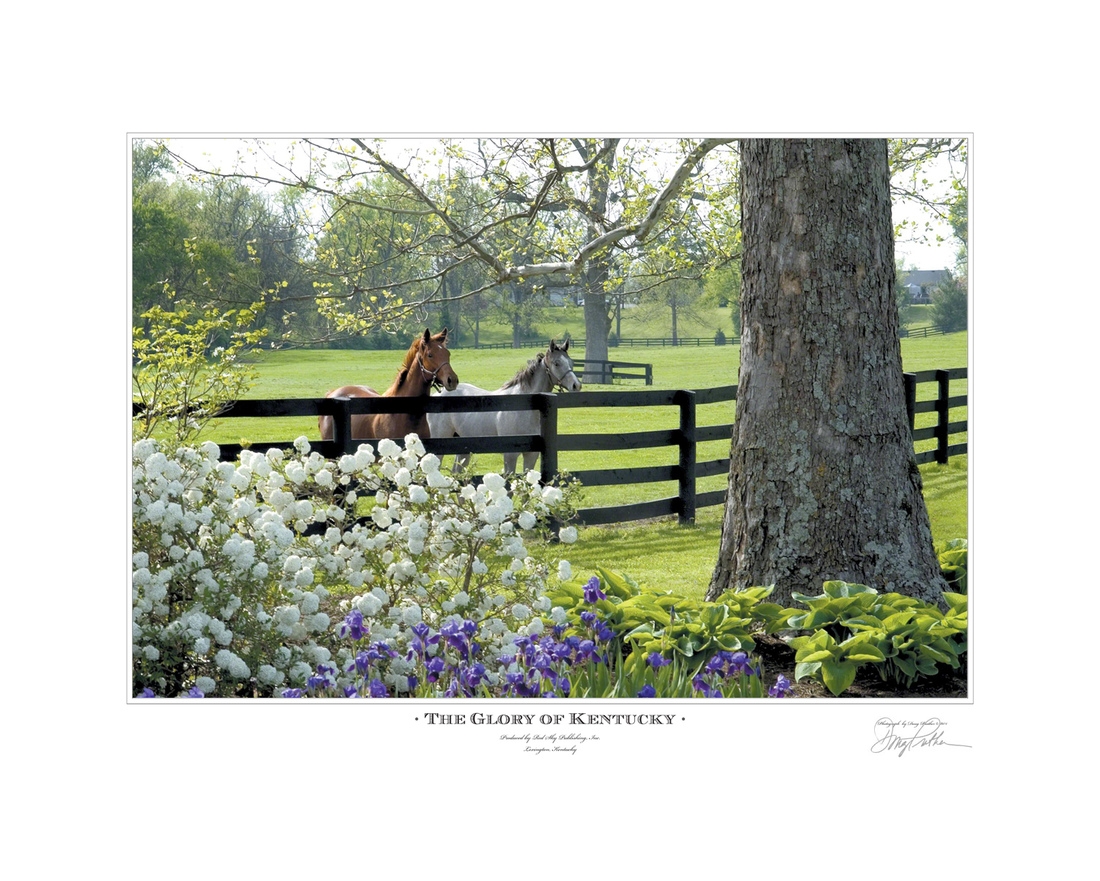 The Glory of Kentucky