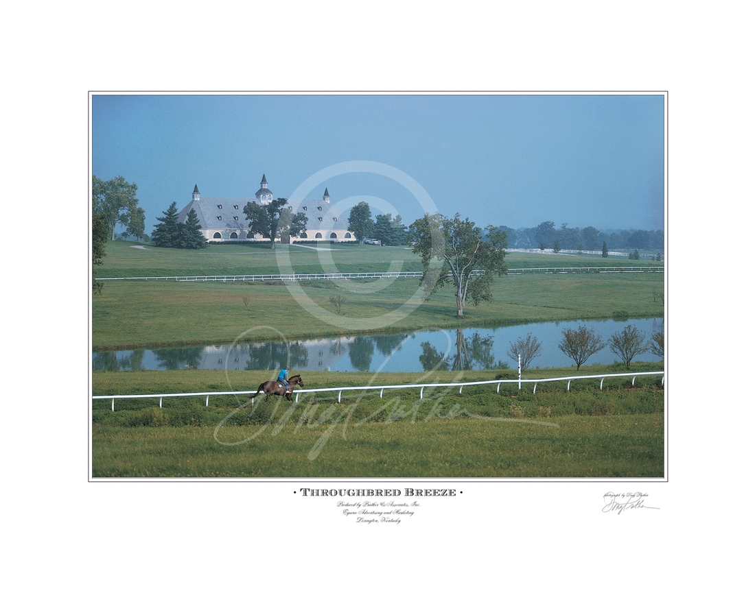 Thoroughbred Breeze