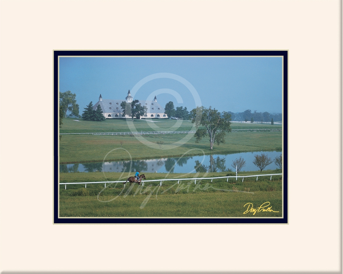 Thoroughbred Breeze