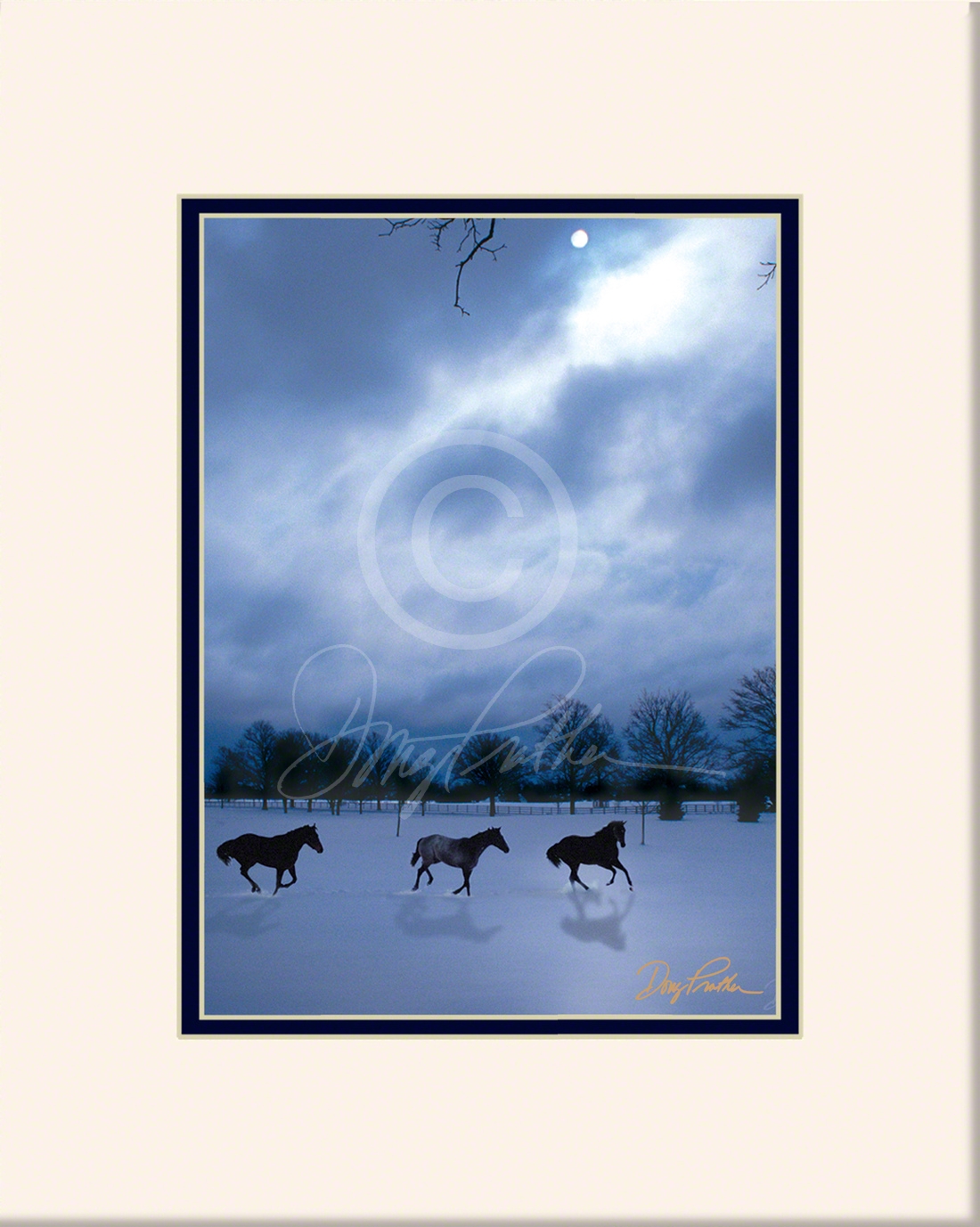 Three Thoroughbreds race horses run in a moon lit winter snow.