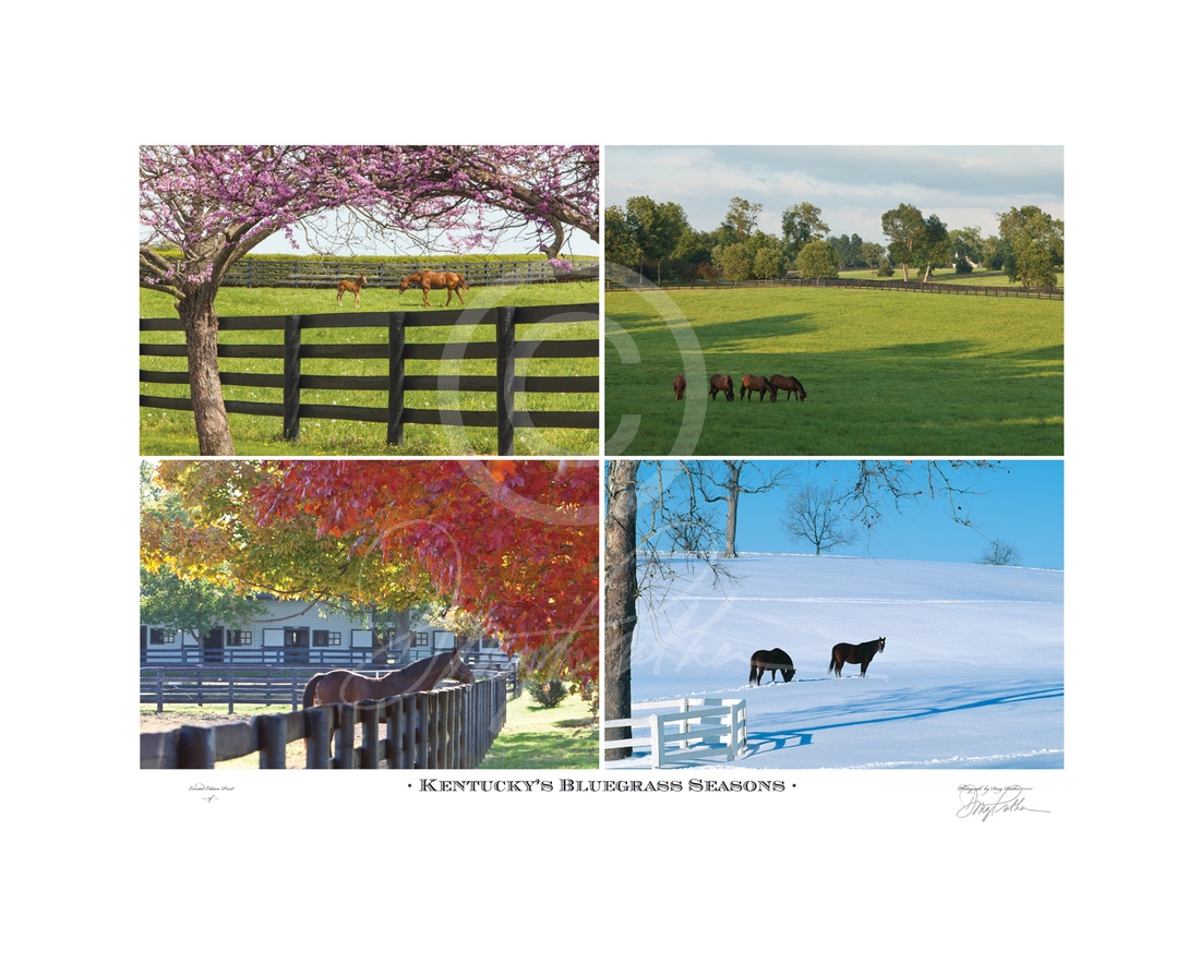 The four seasons of the Bluegrass as only famed equine photographer, Doug Prather, can capture. A montage of the finest horse farms in the world throughout the Kentucky seasons.