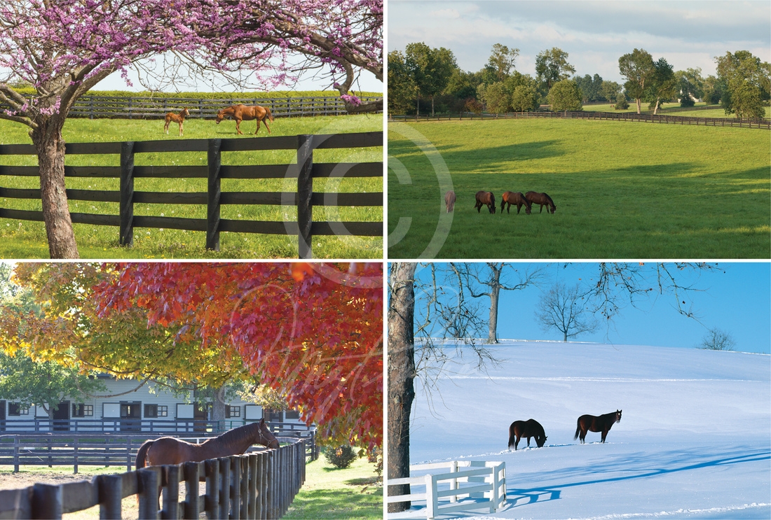 Kentucky's Bluegrass Seasons Doug Prather